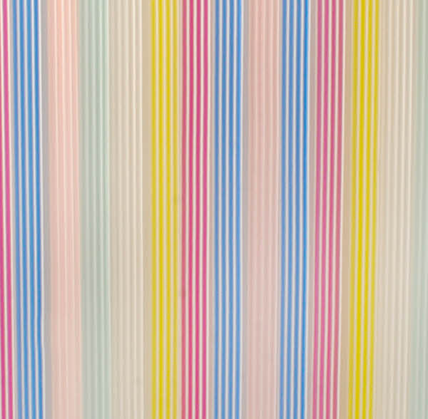 CONACORD Streifenvorhang Brillant, PVC-Streifen 90 x 200 cm