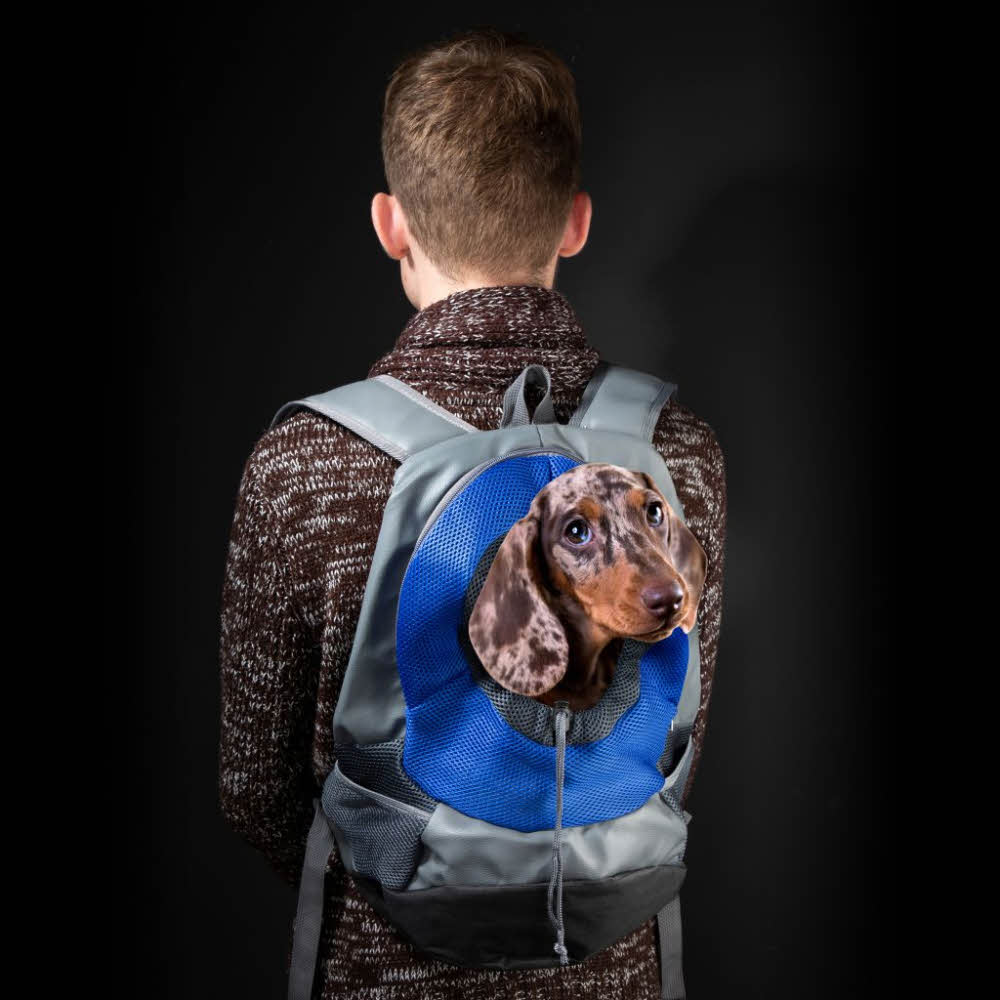 i+v Rucksack für Hunde