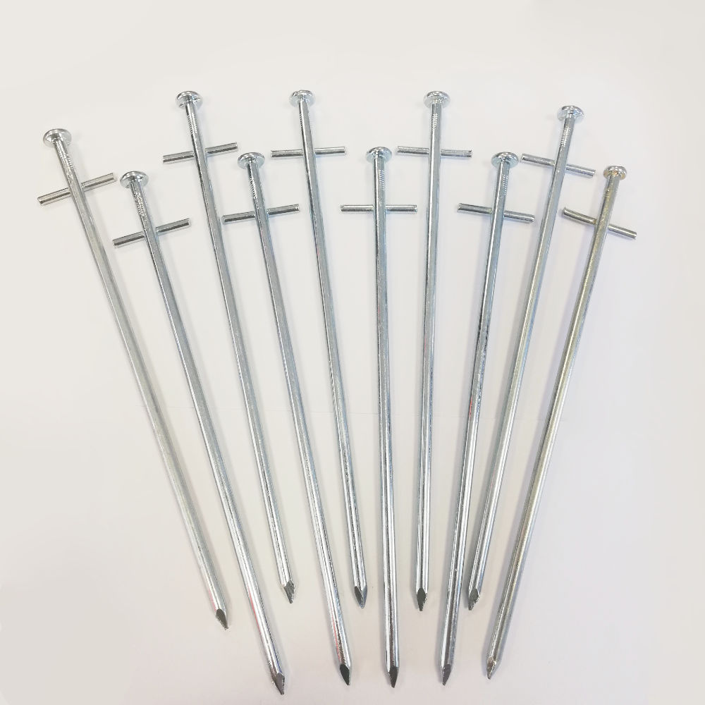 Isabella Tarzan-Hering 23 cm, 10 Stück (Nr. 900060123)