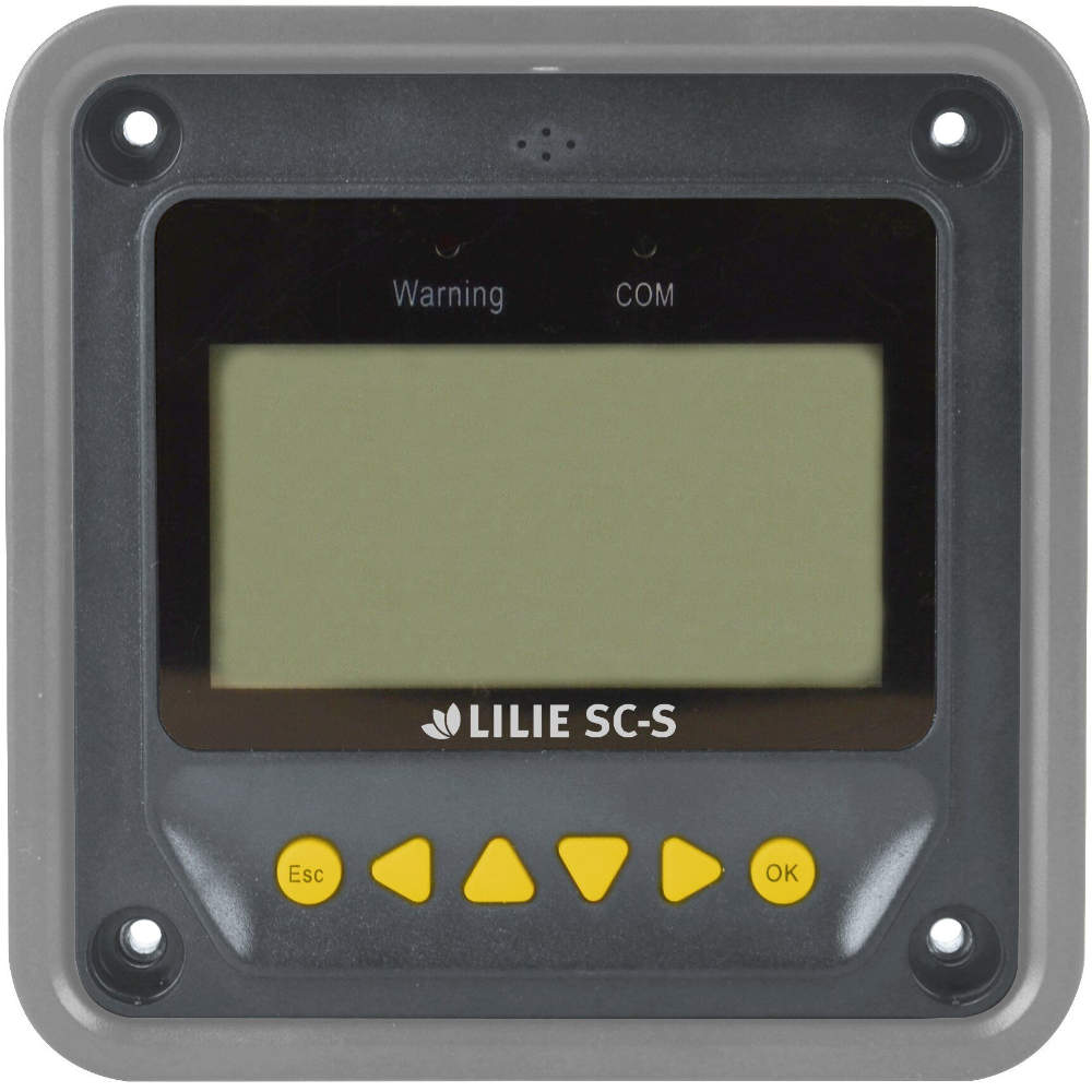 Lilie LCD-Batteriecomputer