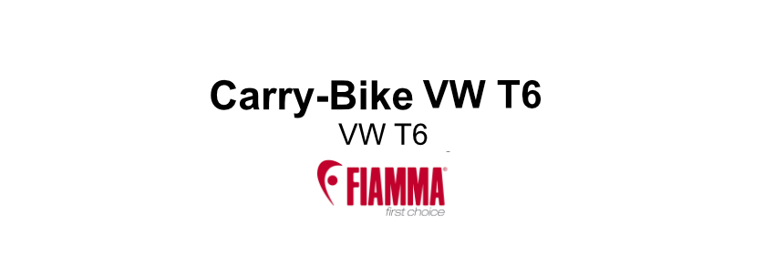 Carry-Bike-VW-T6-T6[1]