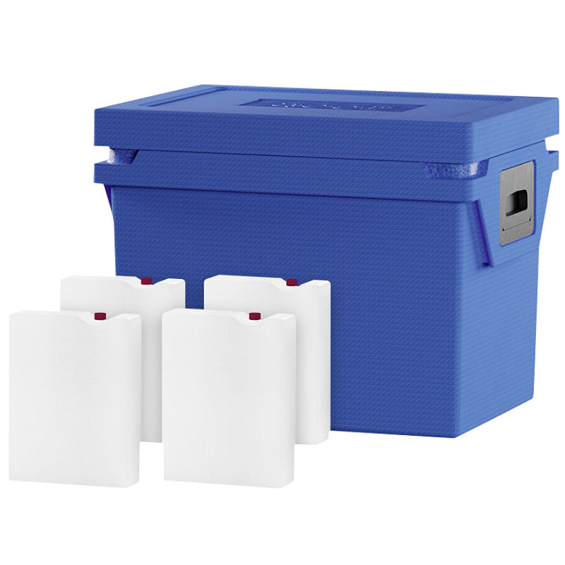 Qool Kühlbox M Standard Frozen