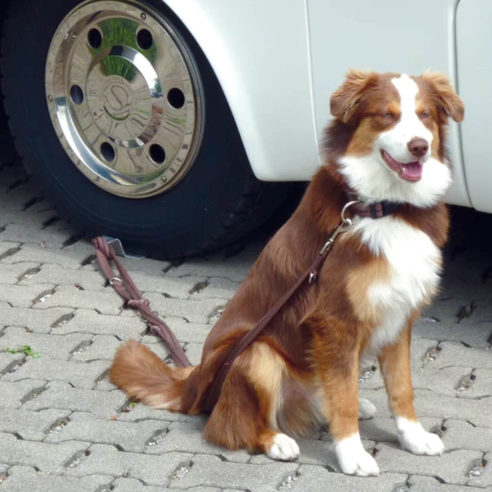 Linnepe Hundehalterung Dog-Sitter