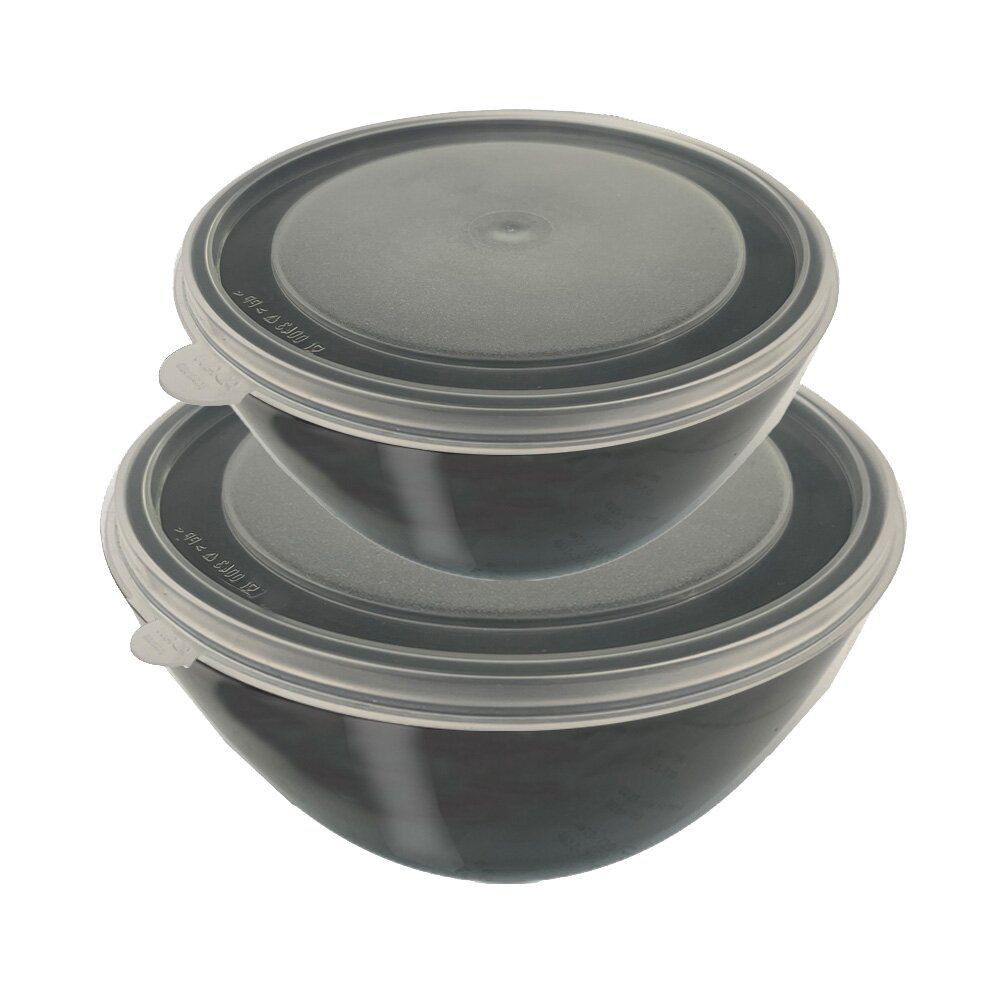 Waca Multischüsselset 2GO 2er Set, 950 ml und 1.500 ml
