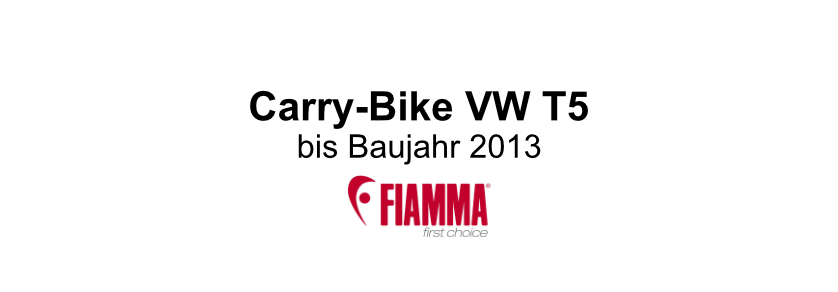 Carry-Bike-VW-T5-bis-2013[1]