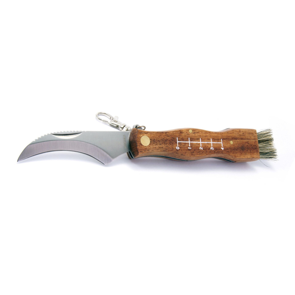 Filmam Taschenmesser Mushroom