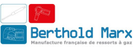Berthold Marx