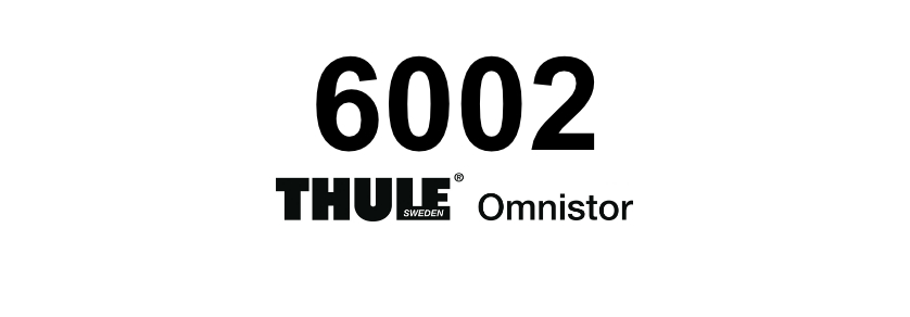 6002[1]