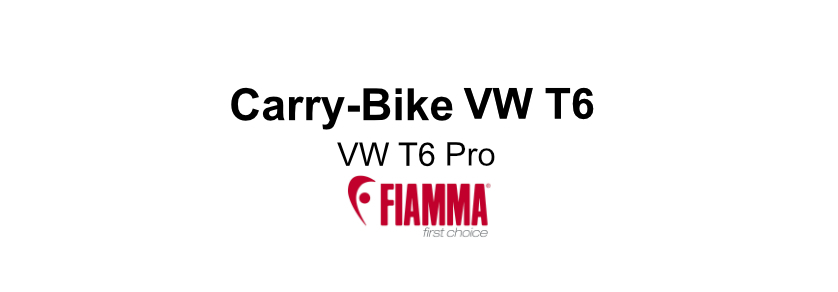 Carry-Bike-VW-T6-T6-Pro[1]