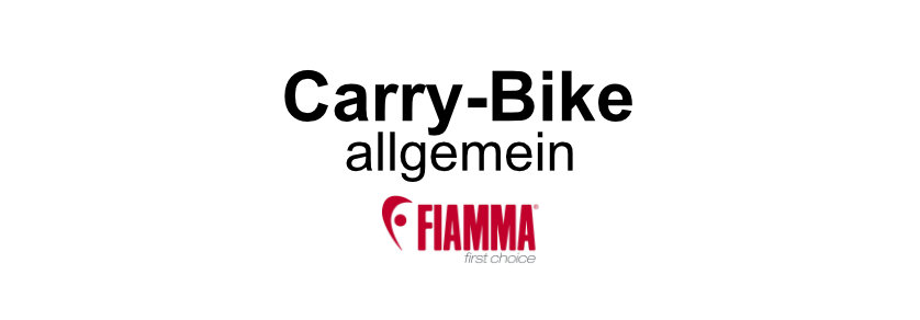 Carry-Bike-allgemein[1]