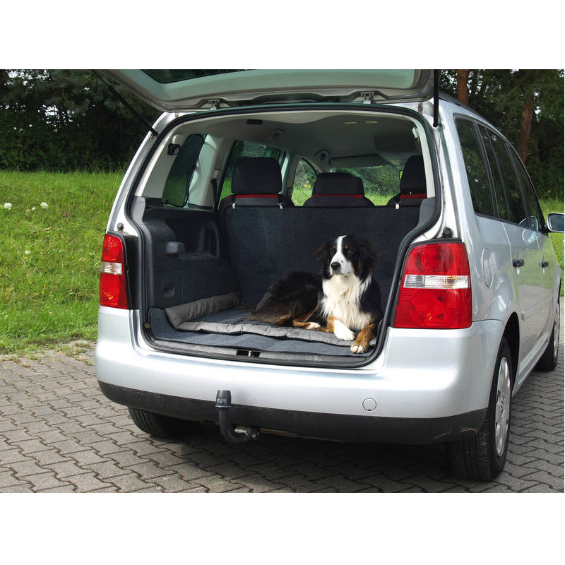 Camp4 Outdoor-Decke Abby für Hunde, 100 x 65 cm