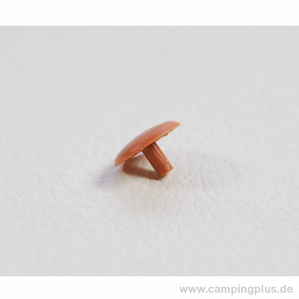 Hobby PVC-Abdeckkappe mit Stift, Farbton Ashai Esche (2014 - 2020)